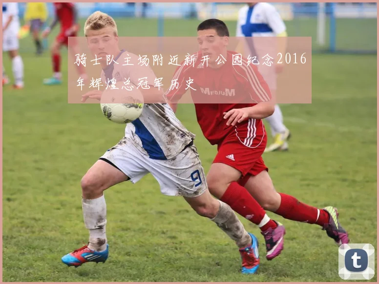 骑士队主场附近新开公园纪念2016年辉煌总冠军历史