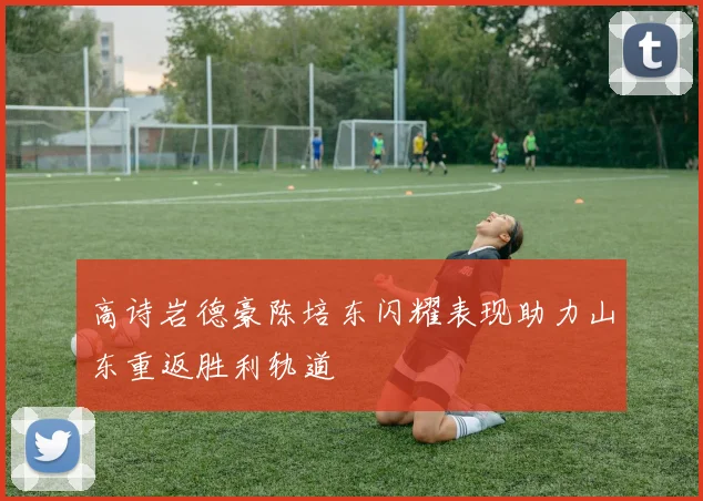 高诗岩德豪陈培东闪耀表现助力山东重返胜利轨道